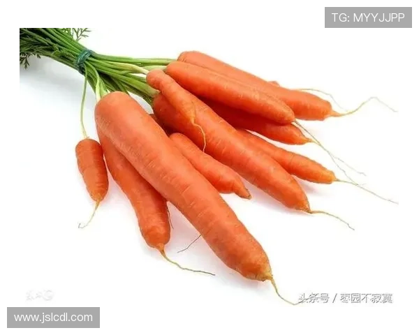 足球明星的健康饮食秘密胡萝卜成为他们的能量源泉