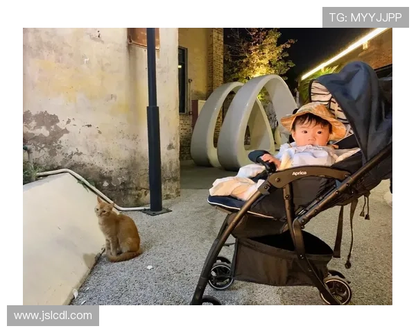 足球明星在抖音分享训练日常与生活趣事引发粉丝热议与互动 足球明星在抖音分享训练日常与生活趣事引发粉丝热议与互动