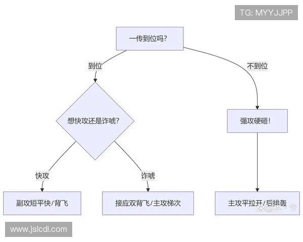 南京排球队反击体系的战术解析与实战应用探讨 南京排球队反击体系的战术解析与实战应用探讨